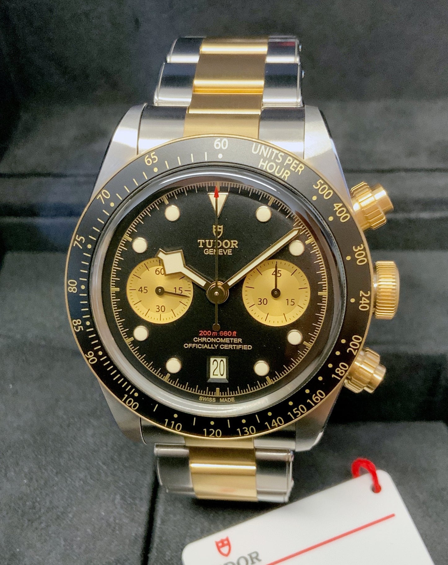 Tudor