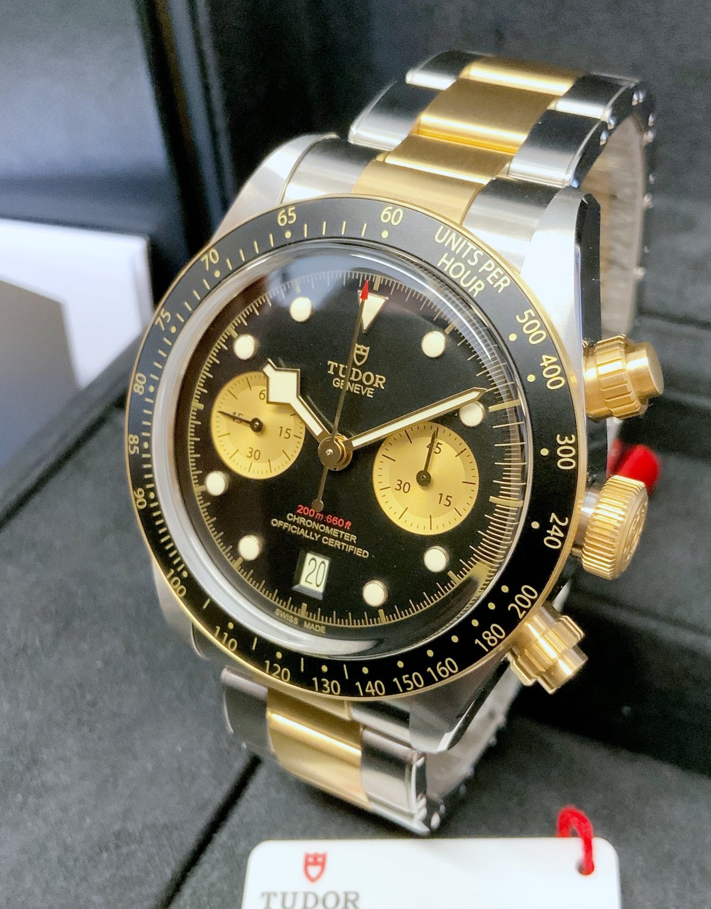 Tudor